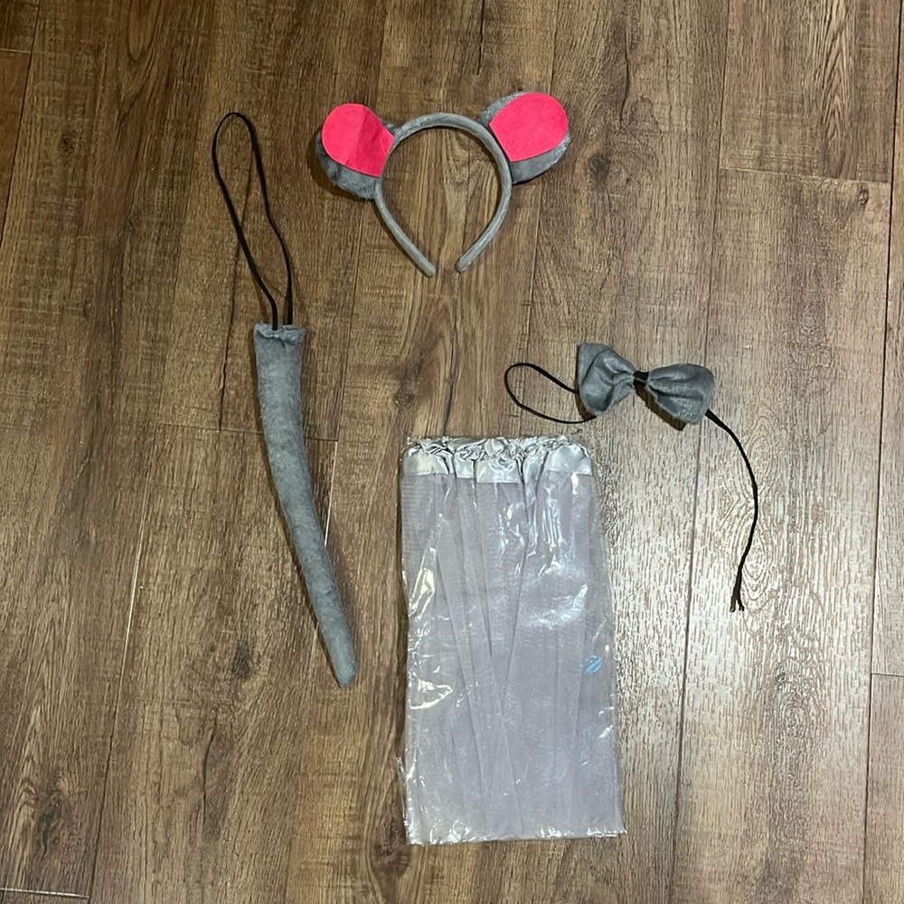 NWOTs mouse costume